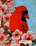 APRC6.8 Spring Cardinal